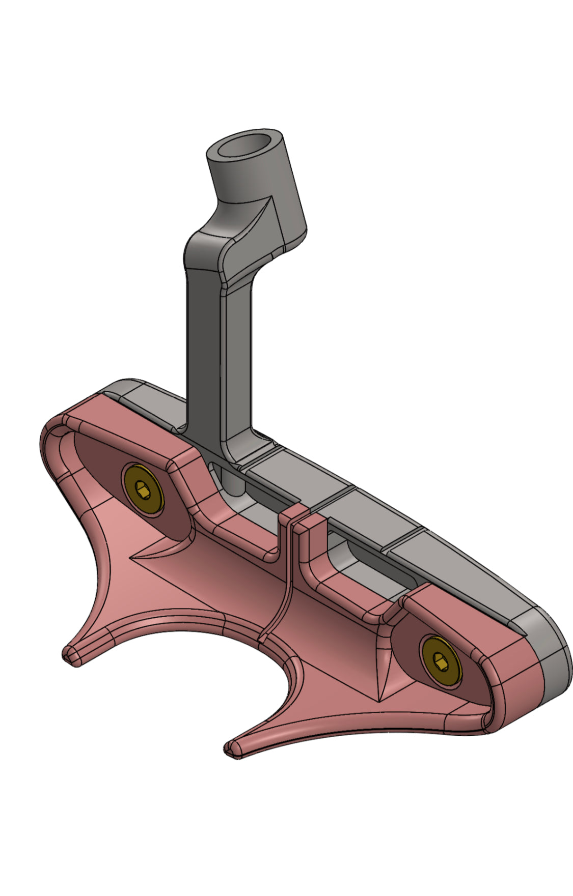 Convex Devil Ray